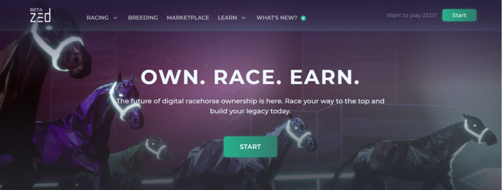 digital run your own race