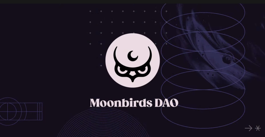 Moonbirds DAO