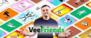 VeeFriends