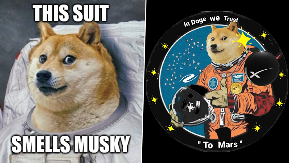 Doge Meme